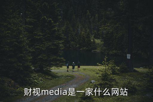 財視media是一家什么網(wǎng)站