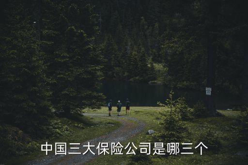 中國(guó)人壽的司旗樣版