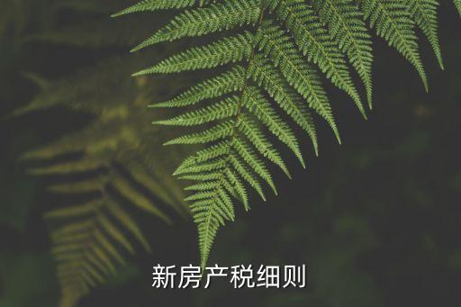 新房產(chǎn)稅細(xì)則