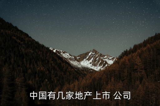 中國有幾家地產(chǎn)上市 公司