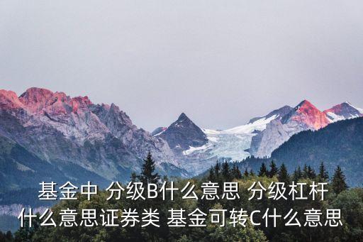  基金中 分級B什么意思 分級杠桿什么意思證券類 基金可轉(zhuǎn)C什么意思