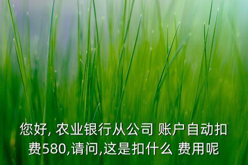 您好, 農(nóng)業(yè)銀行從公司 賬戶自動扣費580,請問,這是扣什么 費用呢