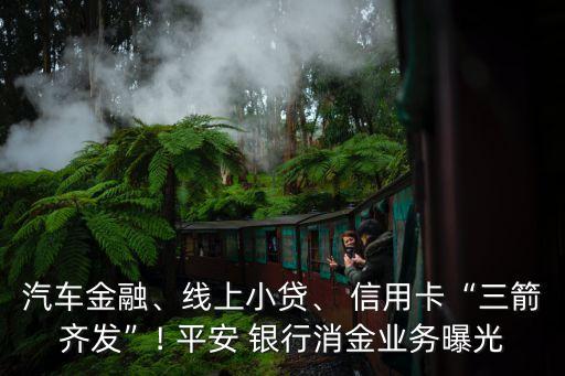 汽車金融、線上小貸、 信用卡“三箭齊發(fā)”! 平安 銀行消金業(yè)務曝光