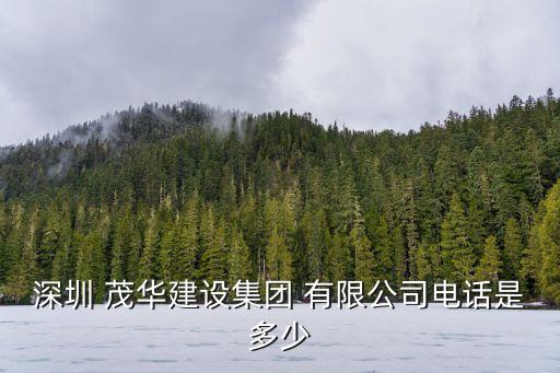 浙江茂華實業(yè)有限公司,浙江華浙實業(yè)有限公司