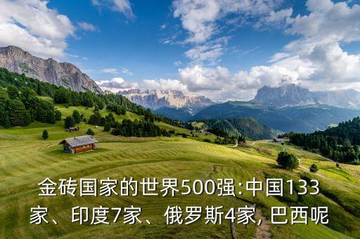 金磚國家的世界500強:中國133家、印度7家、俄羅斯4家, 巴西呢