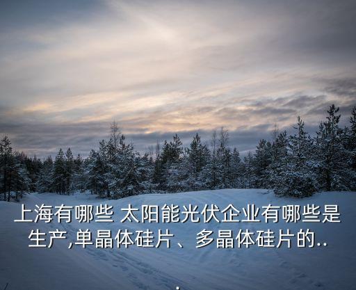 上海有哪些 太陽能光伏企業(yè)有哪些是生產,單晶體硅片、多晶體硅片的...