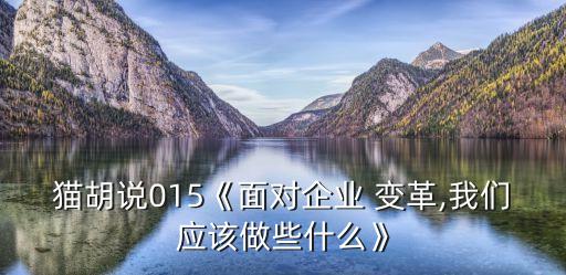 貓胡說(shuō)015《面對(duì)企業(yè) 變革,我們應(yīng)該做些什么》