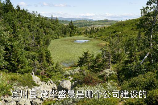 賓川縣 茂華盛景是哪個(gè)公司建設(shè)的