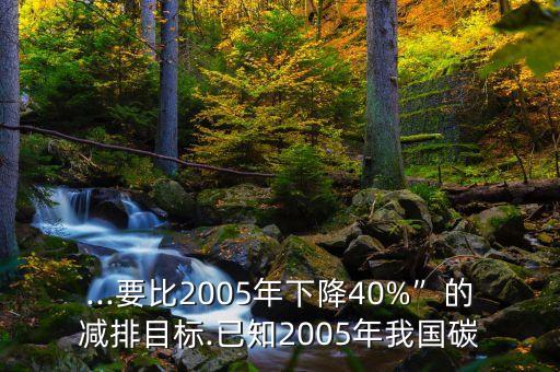 ...要比2005年下降40%”的減排目標(biāo).已知2005年我國(guó)碳