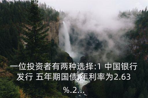 一位投資者有兩種選擇:1 中國(guó)銀行發(fā)行 五年期國(guó)債,年利率為2.63%.2...