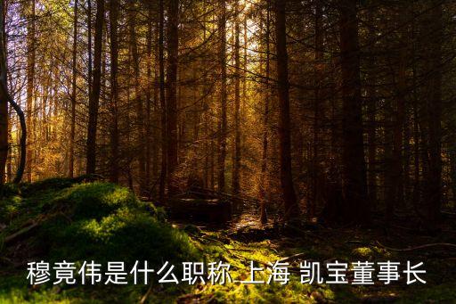 穆竟偉是什么職稱 上海 凱寶董事長(zhǎng)