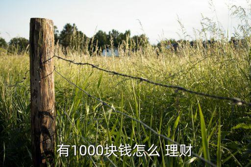 有1000塊錢(qián)怎么 理財(cái)