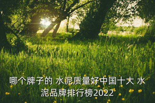 哪個牌子的 水泥質量好中國十大 水泥品牌排行榜2022