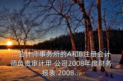 ...會計師事務(wù)所的A和B注冊會計師負責審計甲 公司2008年度財務(wù)報表.2008...