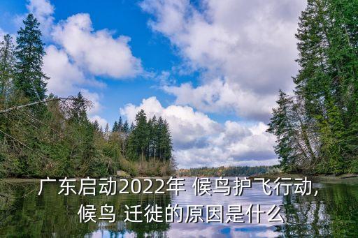 廣東啟動2022年 候鳥護(hù)飛行動, 候鳥 遷徙的原因是什么