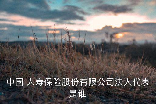 中國 人壽保險(xiǎn)股份有限公司法人代表是誰