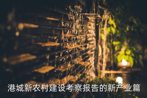  港城新農(nóng)村建設(shè)考察報告的新產(chǎn)業(yè)篇