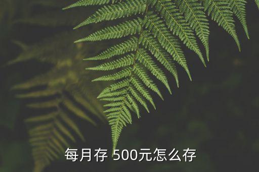  每月存 500元怎么存