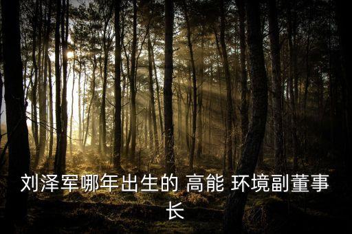 劉澤軍哪年出生的 高能 環(huán)境副董事長(zhǎng)