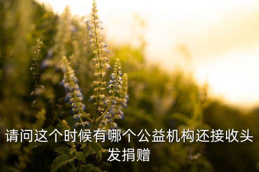 廣東省富迪慈善基金會,富迪慈善基金會理事長胡靜