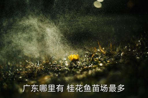 廣東哪里有 桂花魚苗場(chǎng)最多