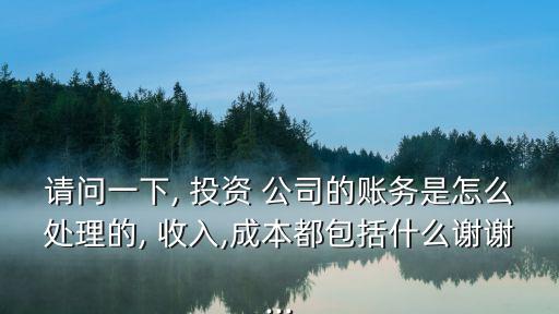 請(qǐng)問一下, 投資 公司的賬務(wù)是怎么處理的, 收入,成本都包括什么謝謝...