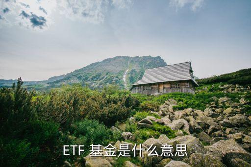 etf基金是什么,ETF基金是什么風(fēng)險類型