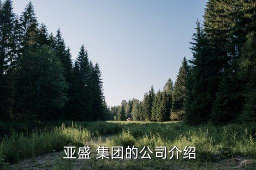  亞盛 集團(tuán)的公司介紹