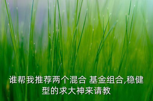 誰(shuí)幫我推薦兩個(gè)混合 基金組合,穩(wěn)健型的求大神來(lái)請(qǐng)教