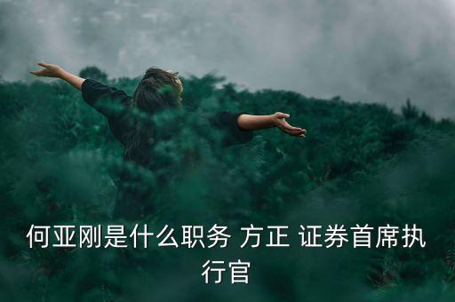 何亞剛是什么職務(wù) 方正 證券首席執(zhí)行官