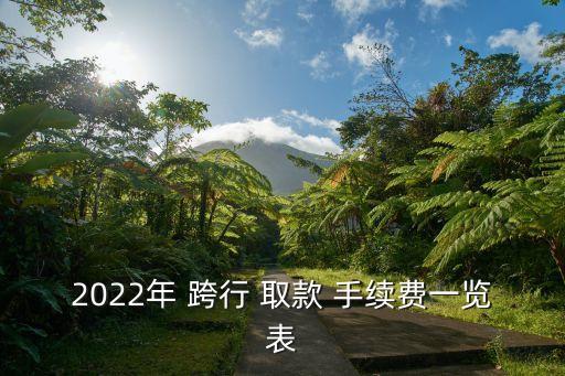 2022年 跨行 取款 手續(xù)費一覽表