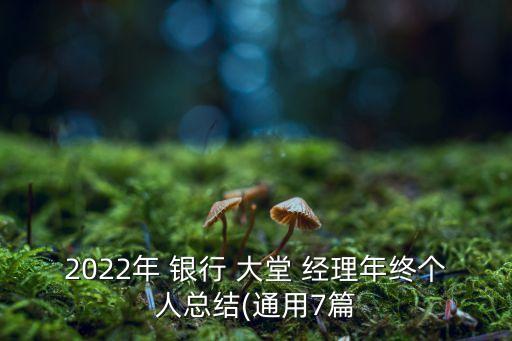 2022年 銀行 大堂 經(jīng)理年終個(gè)人總結(jié)(通用7篇