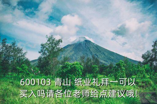 600103 青山 紙業(yè)禮拜一可以買(mǎi)入嗎請(qǐng)各位老師給點(diǎn)建議哦!