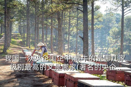 中國盛寶投資集團有限公司,山東盛寶玻璃鋼集團有限公司