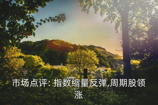 市場(chǎng)點(diǎn)評(píng): 指數(shù)縮量反彈,周期股領(lǐng)漲