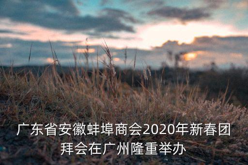 廣東省安徽蚌埠商會(huì)2020年新春團(tuán)拜會(huì)在廣州隆重舉辦