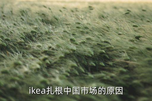 ikea扎根中國市場的原因