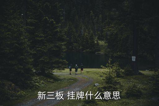 掛牌公司分層方案