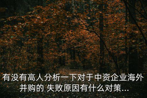 有沒有高人分析一下對于中資企業(yè)海外 并購的 失敗原因有什么對策...