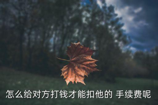 怎么給對方打錢才能扣他的 手續(xù)費呢