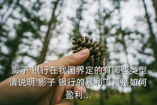  影子 銀行在我國界定的有哪些類型請(qǐng)說明 影子 銀行的暴利工具是如何盈利...