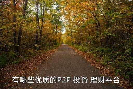 有哪些優(yōu)質的P2P 投資 理財平臺