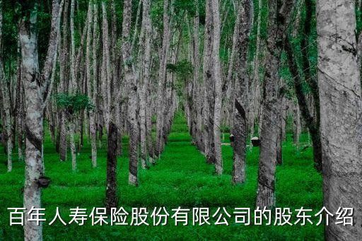 百年人壽保險(xiǎn)股份有限公司的股東介紹