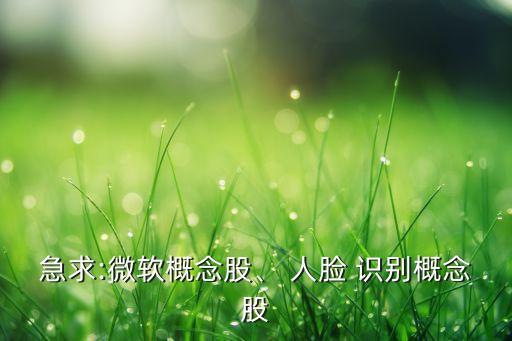 急求:微軟概念股、 人臉 識別概念股