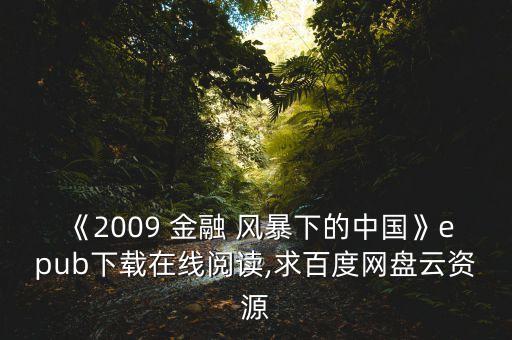 《2009 金融 風(fēng)暴下的中國》epub下載在線閱讀,求百度網(wǎng)盤云資源