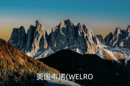 美國(guó)韋諾(WELRO