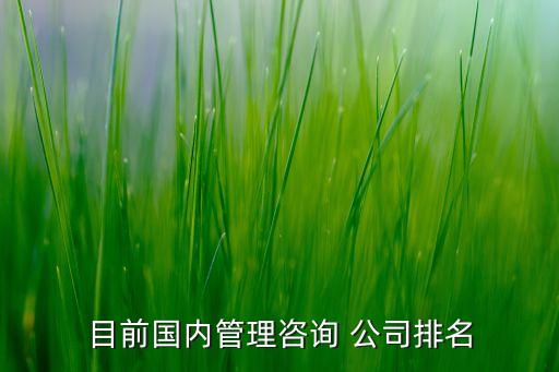 目前國內(nèi)管理咨詢 公司排名