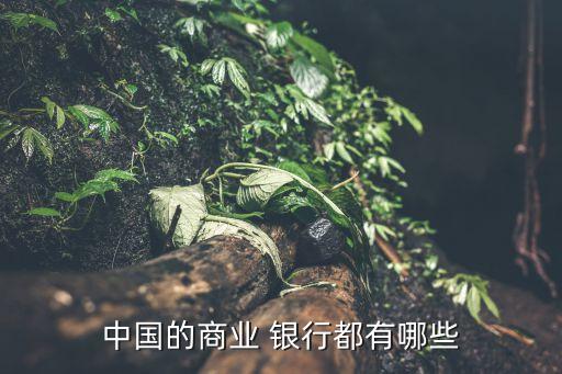 中國的商業(yè) 銀行都有哪些