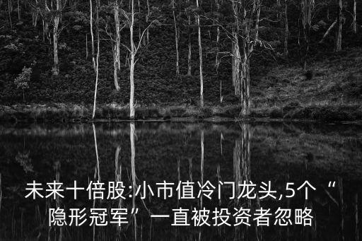 未來(lái)十倍股:小市值冷門龍頭,5個(gè)“隱形冠軍”一直被投資者忽略