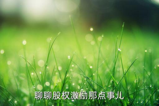 聊聊股權(quán)激勵(lì)那點(diǎn)事兒